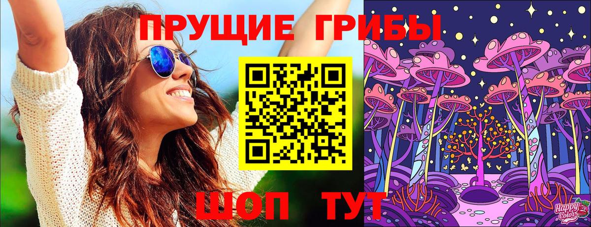 Курган  Псилоцибиновые грибы MAGIC MUSHROOMS  Вход с VPN 